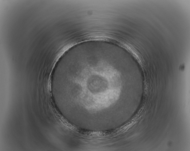 X0000095950883200801181420