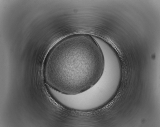 X0000095950884200801181420