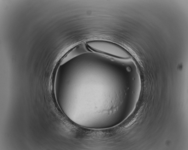 X0000095950885200801181420