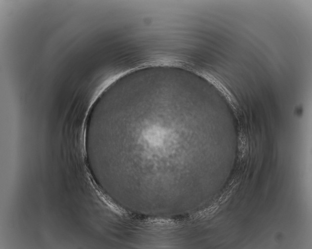 X0000095950886200801181420