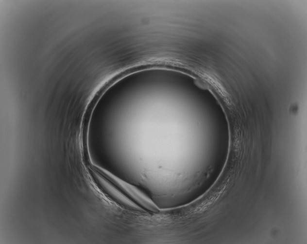 X0000095950888200801181420