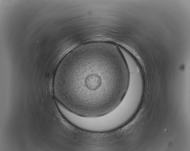 X0000095950889200801181420