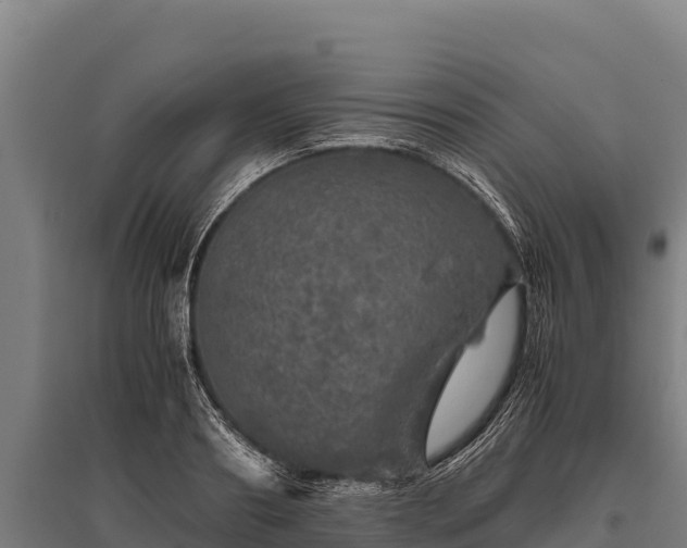 X0000095950890200801181420