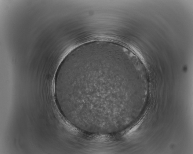 X0000095950891200801181420