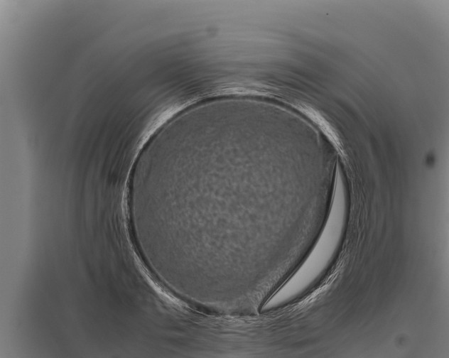 X0000095950893200801181420