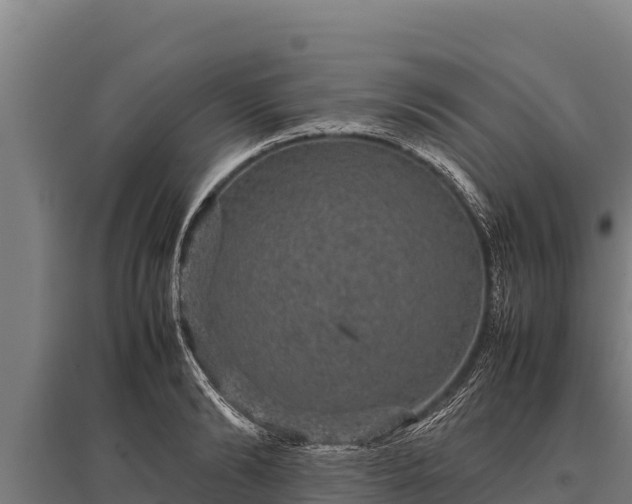 X0000095950894200801181420