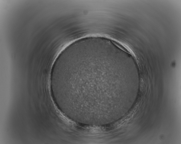 X0000095950895200801181420