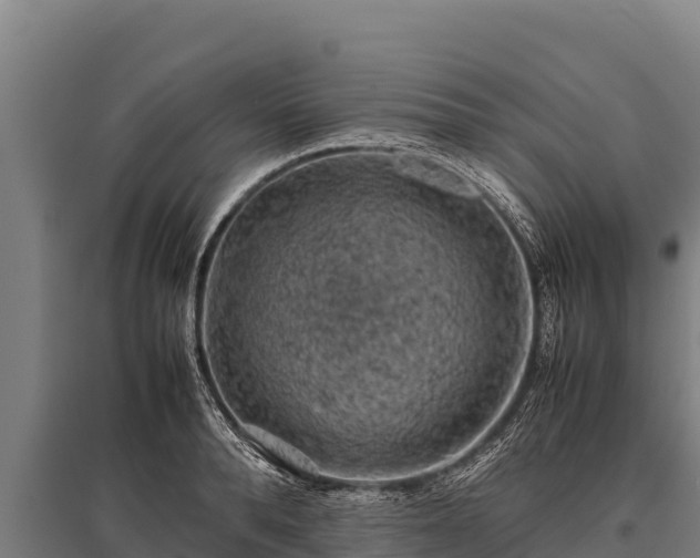 X0000095950896200801181420