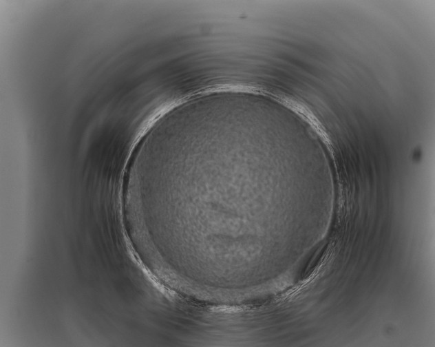 X0000095950898200801181420