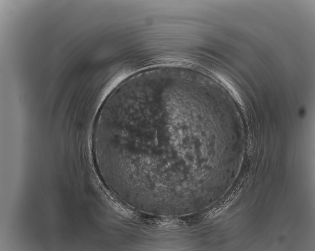 X0000095950899200801181420