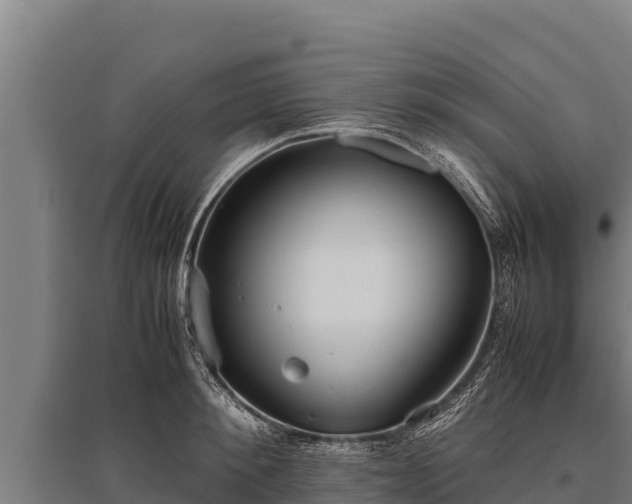 X0000095950900200801181420