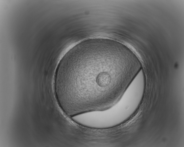 X0000095950901200801181420