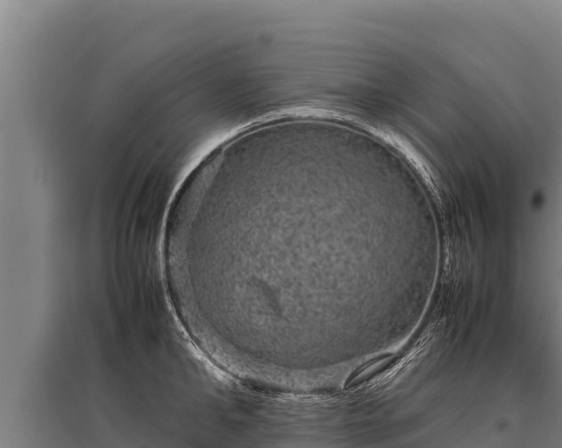 X0000095950902200801181420