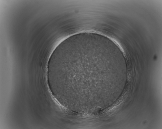 X0000095950903200801181420