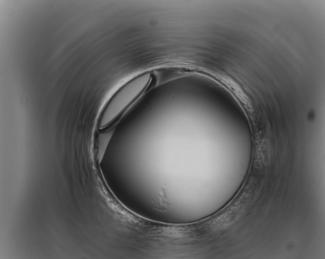 X0000095950904200801181420