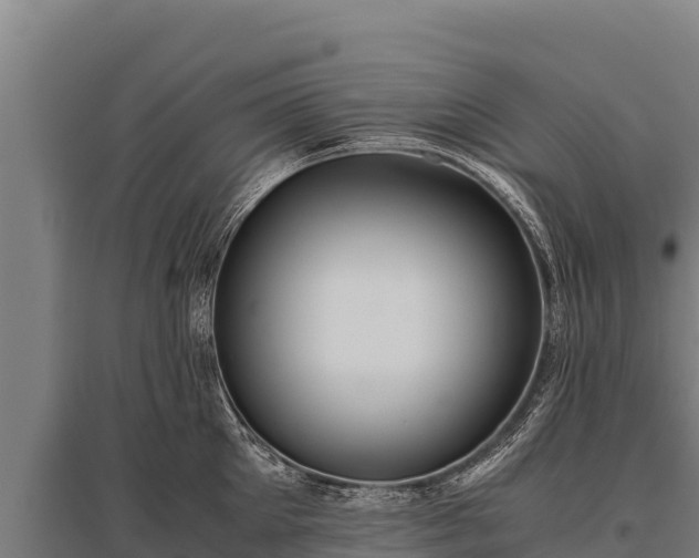 X0000095950905200801181420