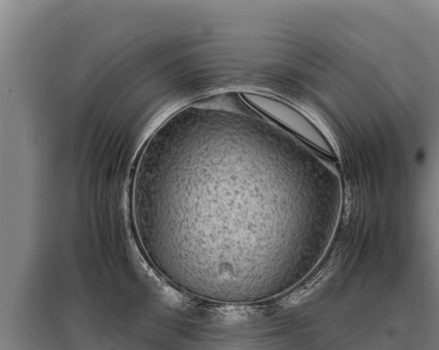 X0000095950906200801181420