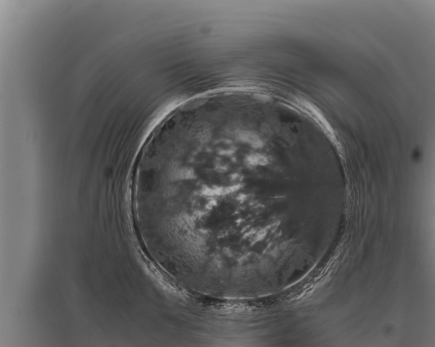 X0000095950907200801181420