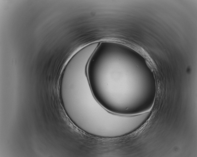 X0000095950908200801181420