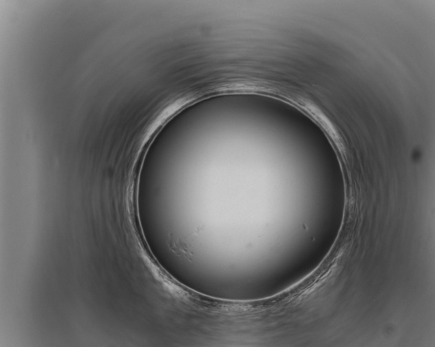 X0000095950909200801181420