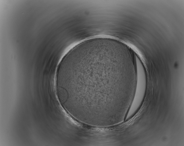 X0000095950910200801181420