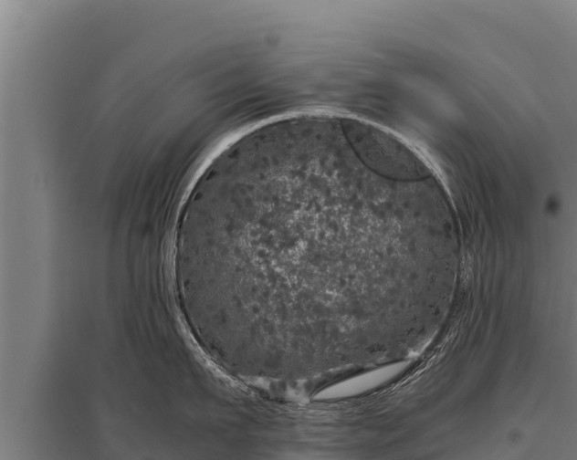 X0000095950911200801181419