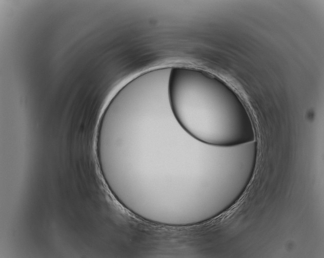 X0000095950912200801181419