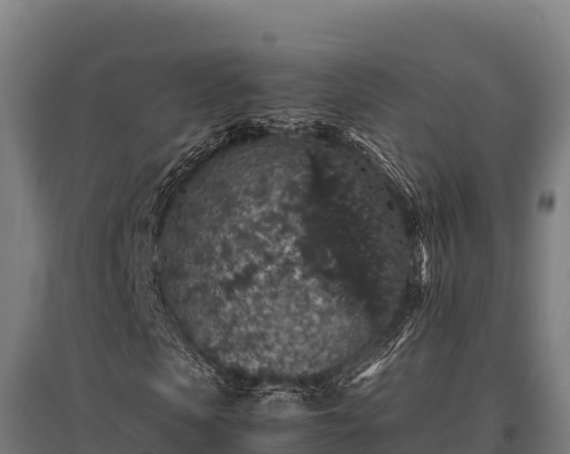 X0000095950913200801181419