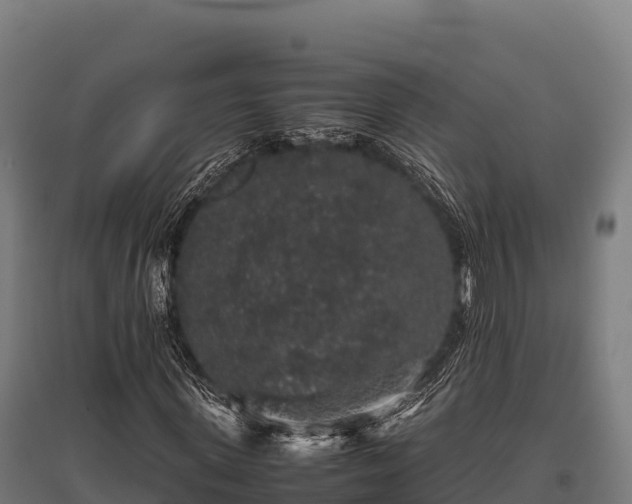 X0000095950915200801181419