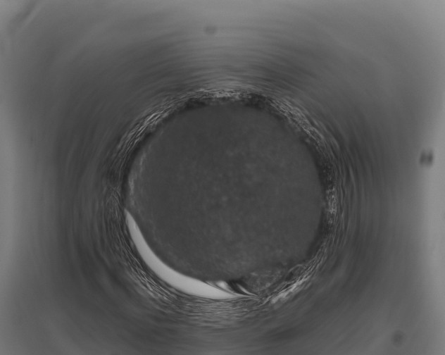 X0000095950916200801181419