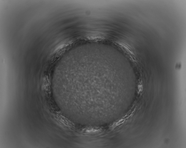 X0000095950917200801181419