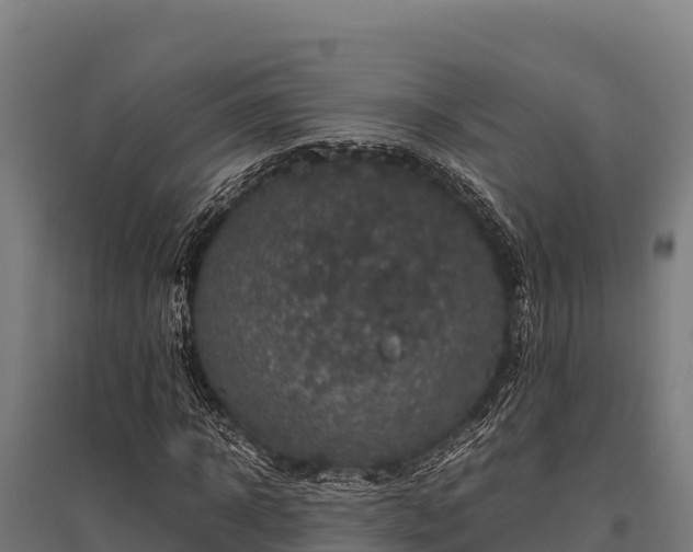 X0000095950918200801181419