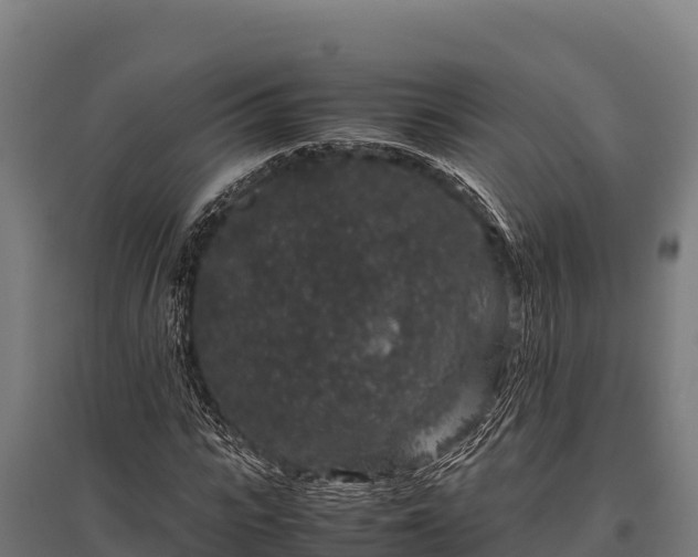 X0000095950919200801181419