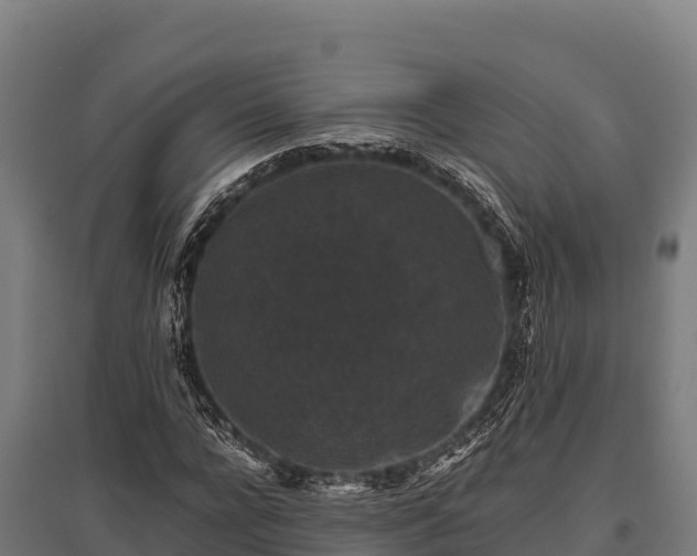 X0000095950920200801181419