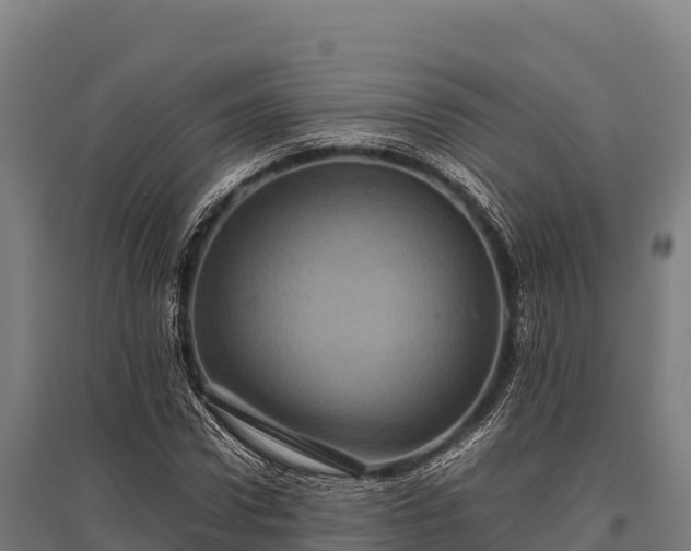 X0000095950922200801181419