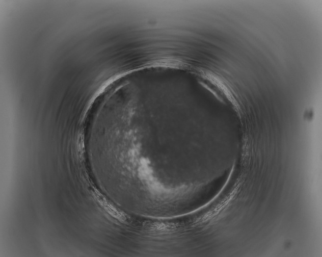 X0000095950923200801181419