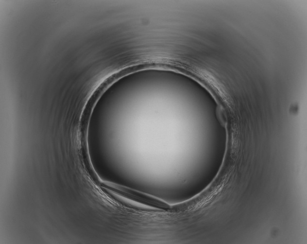 X0000095950924200801181419