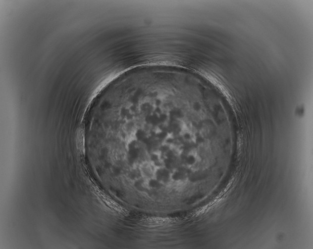 X0000095950925200801181419