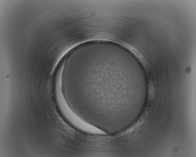 X0000095950926200801181419