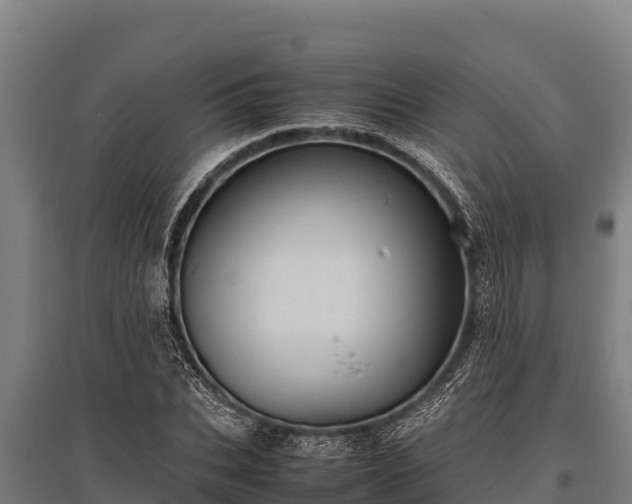 X0000095950927200801181419