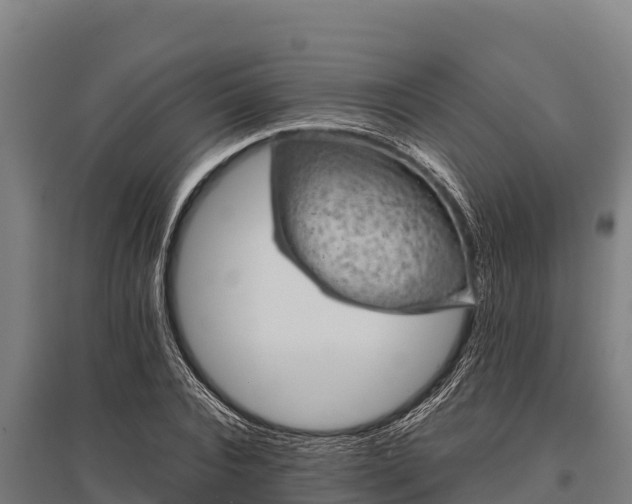 X0000095950928200801181419