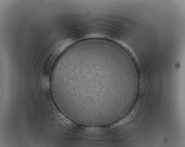 X0000095950929200801181419