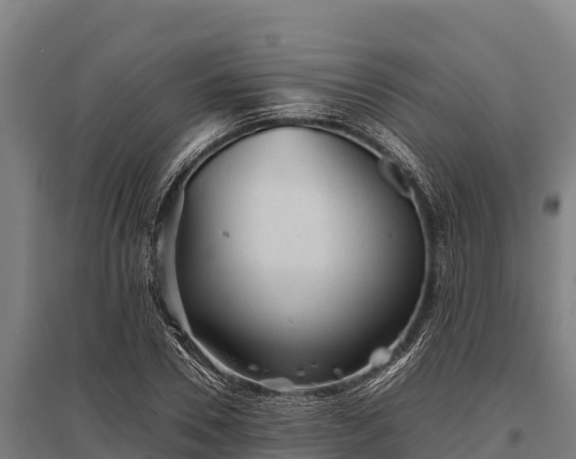 X0000095950930200801181419