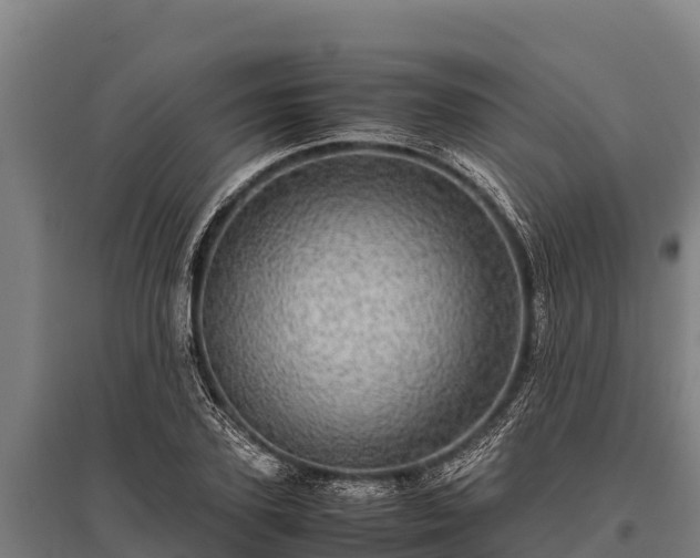 X0000095950931200801181419