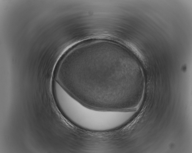 X0000095950932200801181419