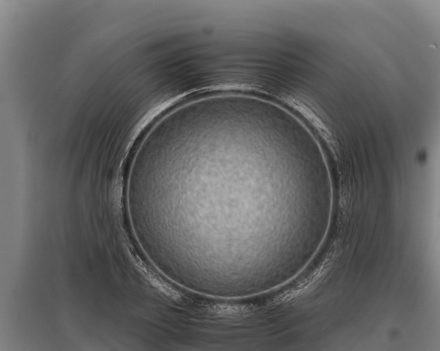 X0000095950933200801181419