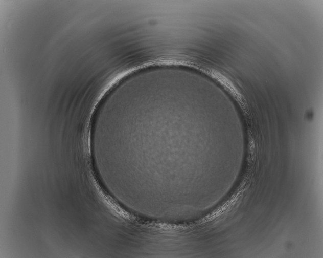 X0000095950934200801181419