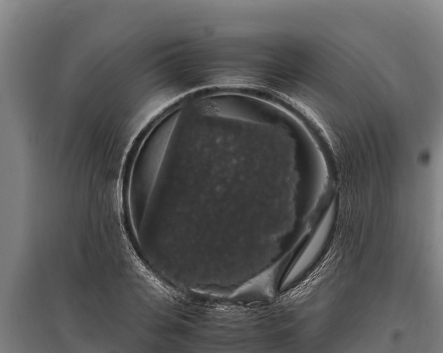 X0000095950935200801181419