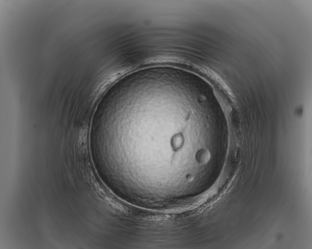 X0000095950937200801181419