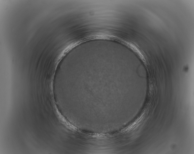 X0000095950938200801181419